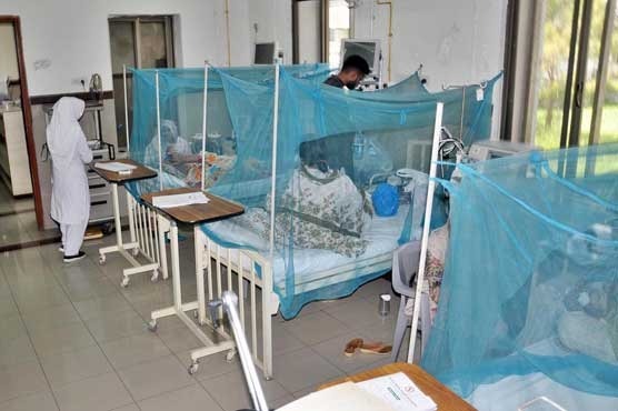 کے پی کے میں رواں سال 478 افراد میں ڈینگی وائرس کی تصدیق، پشاور سب سے آگئے 1 WhatsApp Image 2026 09 02 at 9.25.13 PM 2